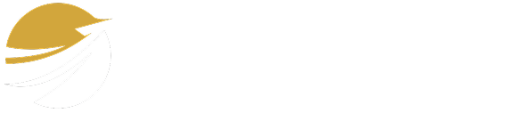 VIP Global Branding